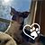 Teresa Lelesch's profile image