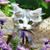 Jayma Tourville O'Connor's profile image
