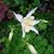 Marsha Davis's profile image