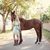 Joanna Darrow's profile image