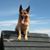 Michael Gwin's profile image