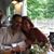Michele Palanzo's profile image