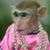 Sylvia Lopez's profile image