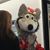 Sandy Hawn's profile image