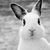 Julie Phillips Martindale's profile image