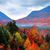 Liz Djaota Collins's profile image