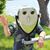 Chuck Deyo's profile image