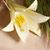 Karen Terrano's profile image