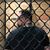 John Bickness's profile image