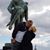 Susy De Paul's profile image