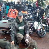 Matt Sanders's profile image