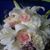 Tumbleweeds Florist & Amor Wedding Chapel's profile image