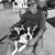 Stuart Blum's profile image
