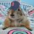 Phil Plourde's profile image