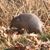Betsy Walker Guyer's profile image