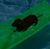 Debra Pettit's profile image