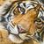 Maria Matamoros's profile image