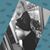 Sherry Johnson's profile image