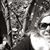 Emily Jackson Hines's profile image