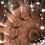 Michelle Bankos's profile image