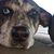Gregory Scott LaPrete's profile image