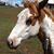 Dana Stoup Boyd's profile image