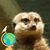 Heidi Stebler's profile image