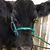 Jessica Engel's profile image
