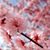 Maria Pitt's profile image