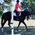Linda Helin's profile image