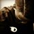 Jordan Isiah's profile image