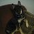Mary Kahler's profile image