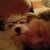 Andrea Lyda's profile image