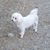Sally Pyles Anderson's profile image