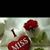 Raman Sharma's profile image