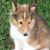 Cathy Galanti Clepper's profile image
