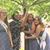 Gracie Ann Schultz's profile image