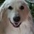 Sue Archer's profile image