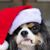Regina Hurley's profile image