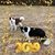 Natalie Cogswell's profile image