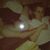Kayla Harrison Warren's profile image