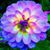 Kristen Oeschger Flading's profile image