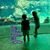 Michelle Beckmeyer's profile image