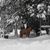 Gina Wright Privette's profile image
