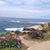 Christy Menke's profile image