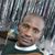 Green Tayengwa's profile image