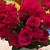 Karen M. Garcia's profile image