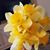 Brenda Stewart's profile image