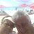 Donna Tancordo's profile image