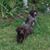 Michael Dean Pauley's profile image